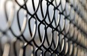 Government Offers Update on Business and Investigator Licensing